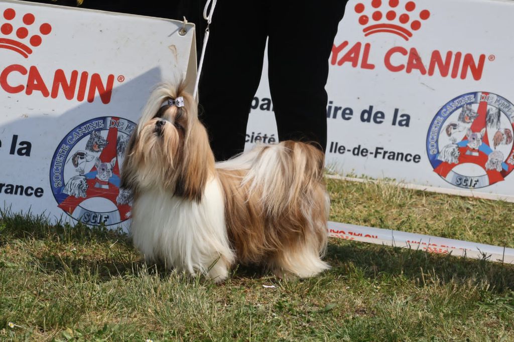 expositions Lillers des 17 et 18 mai 2025